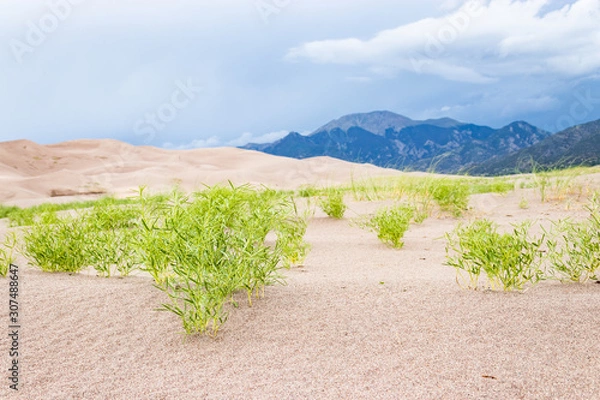 Obraz Dunes beneath the mountain