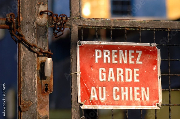 Obraz chien méchant