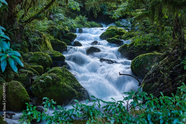 Obraz Milord Waterfall