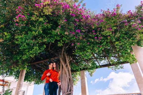 Fototapeta guy embraces girl from back side. couple in red sweaters near tr