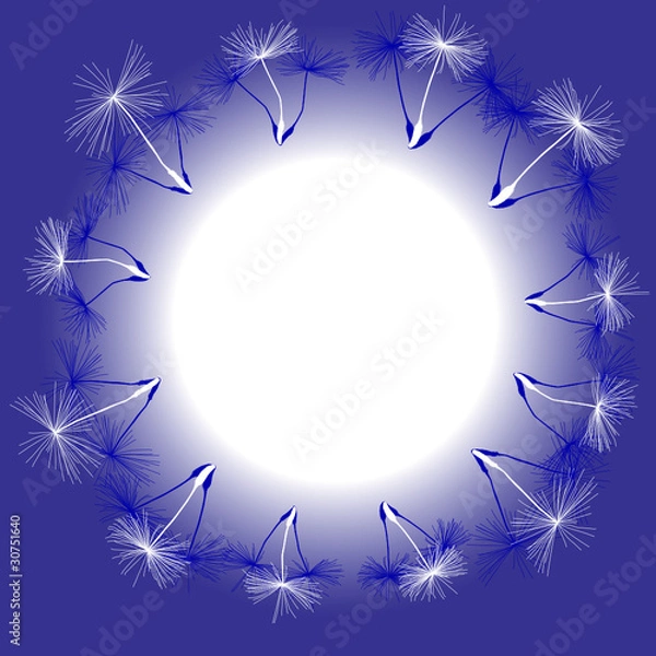 Obraz одуваньчики