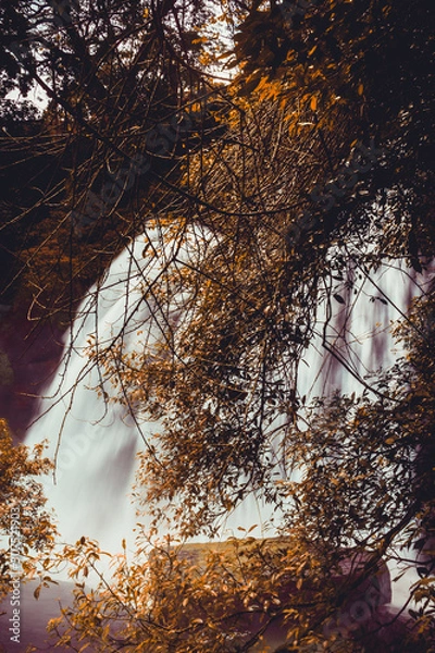 Fototapeta Waterfall in the forest of Sri Lanka