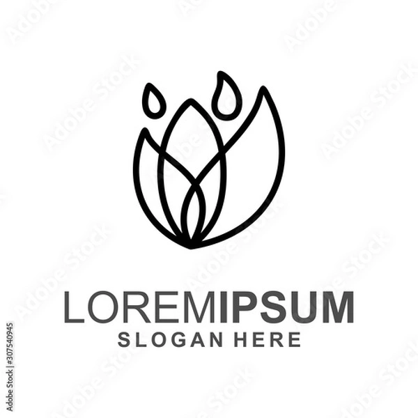 Fototapeta colorful leaf logo design vector