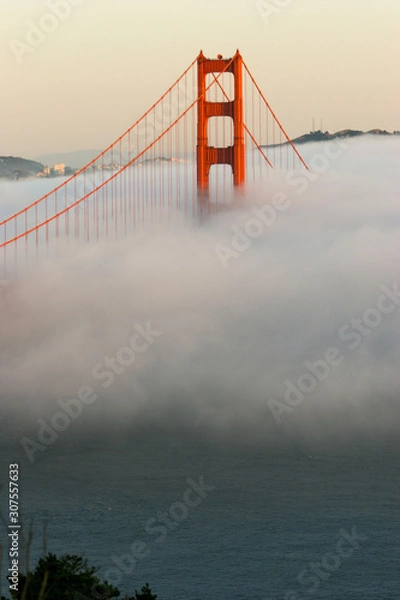 Obraz San Francisco