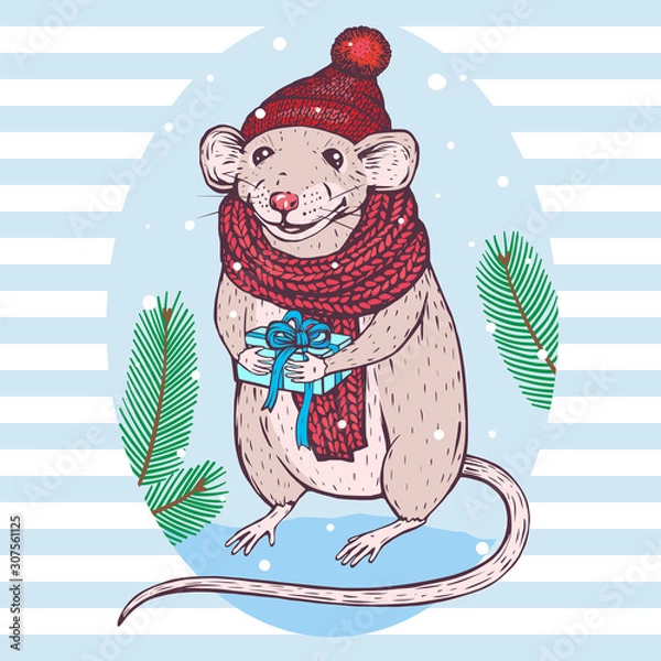Obraz Vector Christmas Mouse with Gift illustration. New Year 2020 Holiday postcard drawing. Winter X-mas print. Cute animal image. Rat in red hat and scarf picture. 