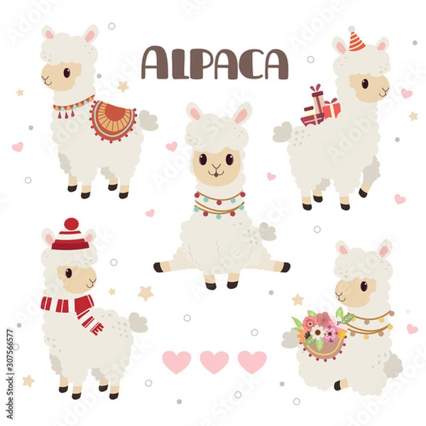 Fototapeta The collection of cute alpaca in the white backgrond and heart and star set. The character of cute alpaca in any action. some alpaca is sitting and standing. The alpaca wear a hat and winter hat.