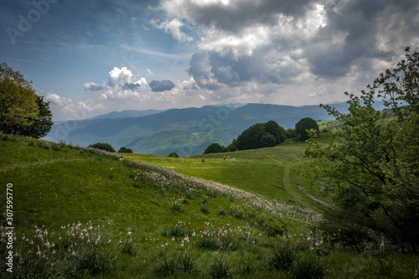 Obraz La quiete prima della tempesta...
