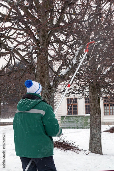 Obraz gardener pruning pruning trees in winter in a park. vertical