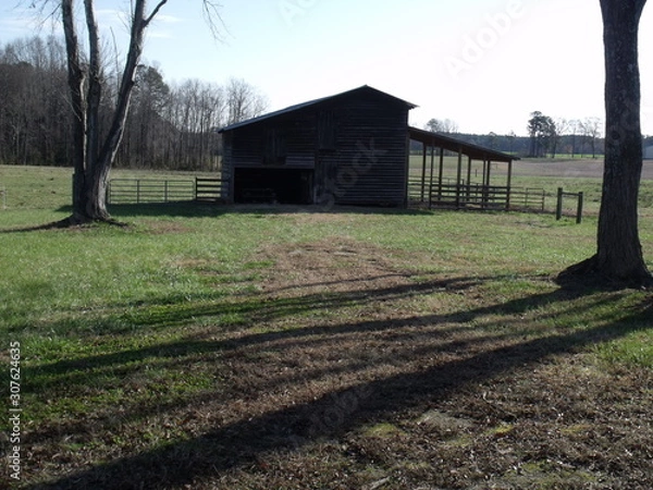 Fototapeta barn