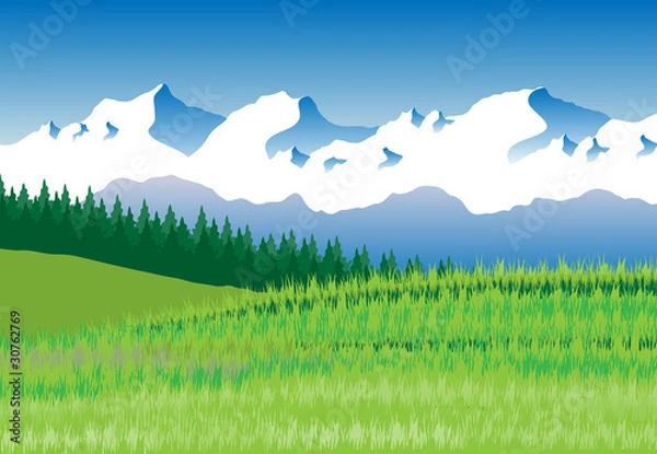 Fototapeta Green field