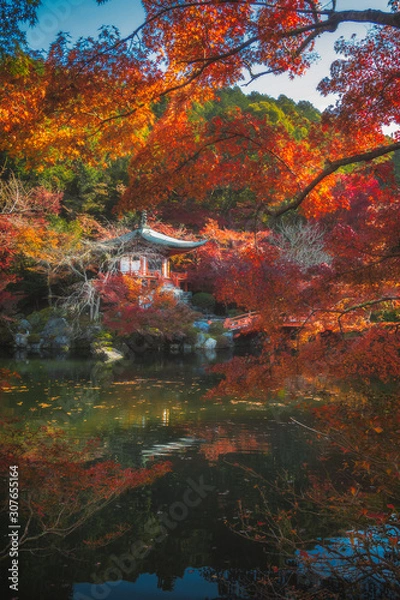 Fototapeta 京都 紅葉の醍醐寺と秋景色