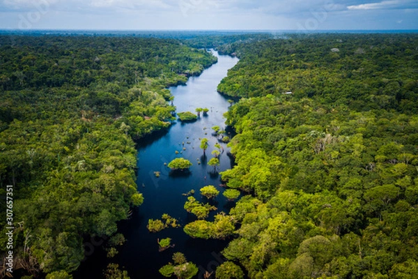 Obraz Amazon Rainforest in Anavilhanas National Park, Amazonas - Brazil