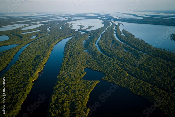 Obraz Anavilhanas National Park is home to the second largest river archipelogue in the world, on the Rio Negro. Amazonas, Brazil.