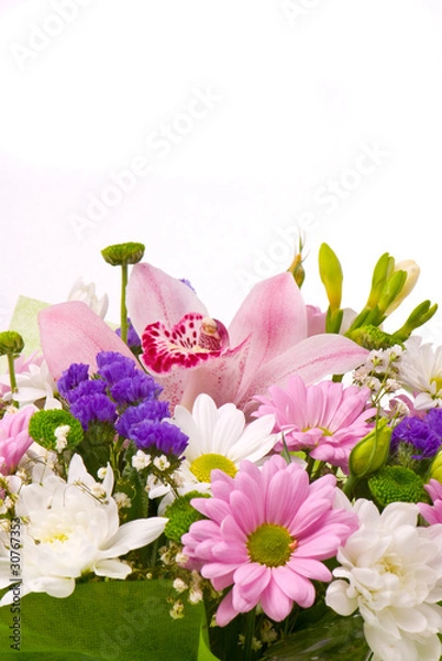 Obraz Magnificent bouquet on a white