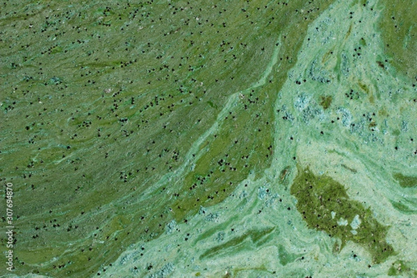 Fototapeta Cropped shot of dirty water, top view. Ecology, environmental pollution, nature concept. Abstract colorful background texture.