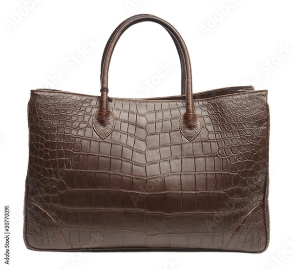 Obraz Bag from skin of crocodile