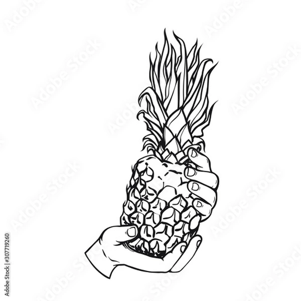 Obraz Realistic hand drawn sketch of human hand with pineapple, vector illustration isolated on white background