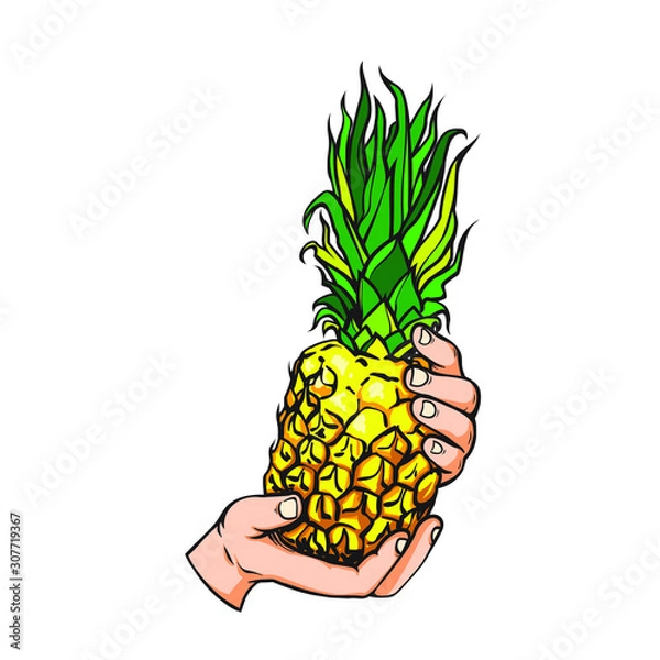 Obraz Realistic hand drawn sketch of human hand with pineapple, vector illustration isolated on white background