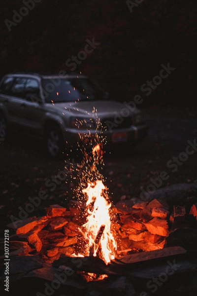 Obraz Camp Fire