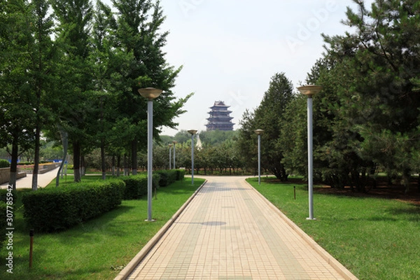 Obraz Park Greening Road