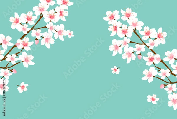 Fototapeta 桜　春　年賀状　背景