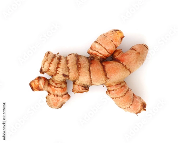 Obraz Top view of Turmeric (Curcuma longa Linn) rhizome isolated on white background.