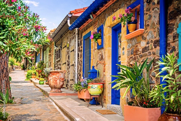 Obraz Colorful streets of Collioure
