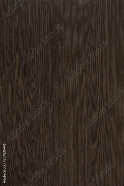 Obraz Wood background texture. Texture of wood background closeup.