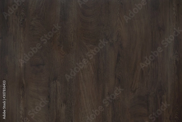 Obraz Wood background texture. Texture of wood background closeup.