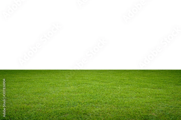 Fototapeta Green grass field isolated on white background with clipping path.