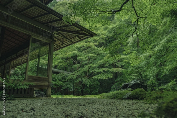 Fototapeta 京都　お寺　寺　紅葉　光明寺　寺社仏閣　写真素材　リフレクション　写経　お茶室