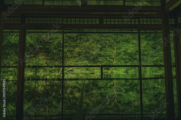 Obraz 京都　お寺　寺　紅葉　光明寺　寺社仏閣　写真素材　リフレクション　写経　お茶室