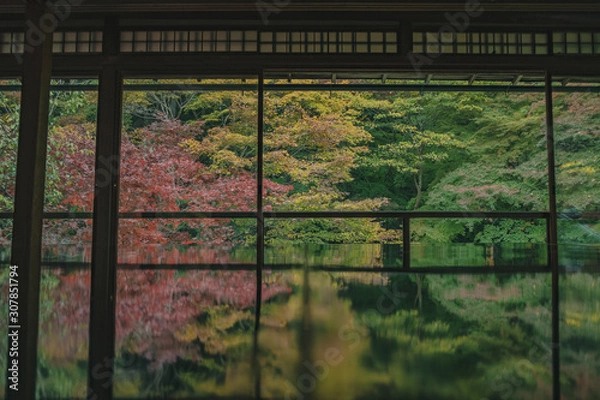 Fototapeta 京都　お寺　寺　紅葉　光明寺　寺社仏閣　写真素材　
