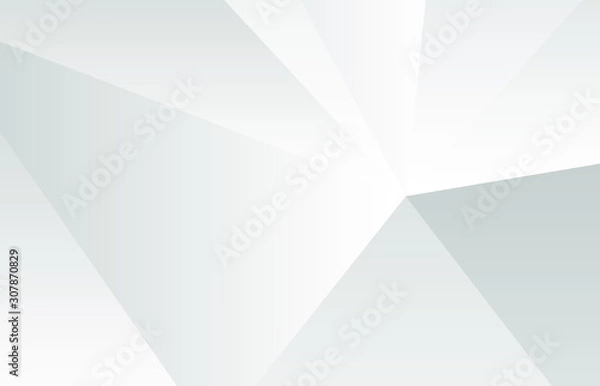 Fototapeta Abstract white and gray gradient background. Lines design background. Vector Illustration