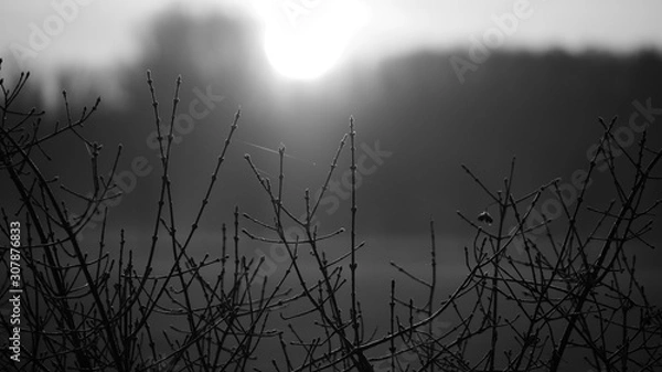 Obraz Sunrise Berlin-South2