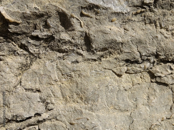 Fototapeta Texture of a sedimentary limestone rock with cracks