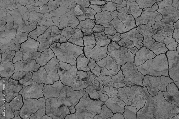 Obraz cracked earth texture