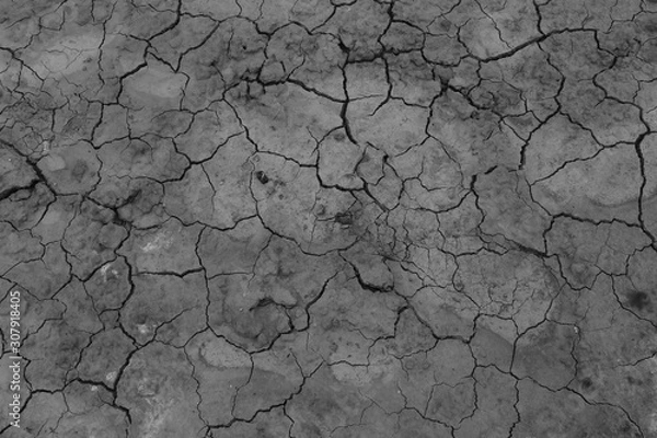 Obraz cracked earth texture