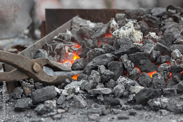Fototapeta Horseshoe heating for forging. A blacksmith holds with large tongs in forge.