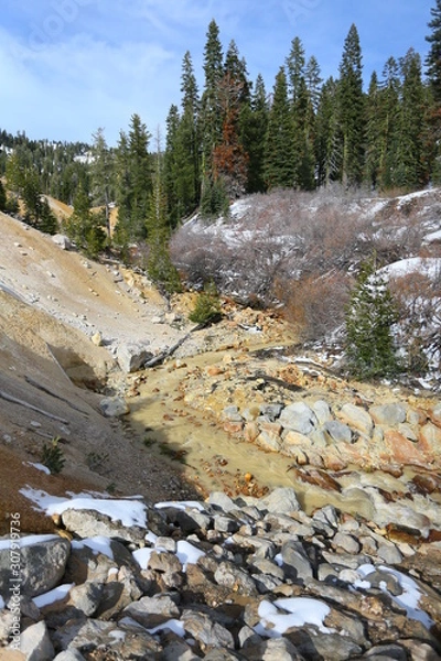 Obraz river in forest