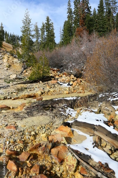 Obraz autumn in the park