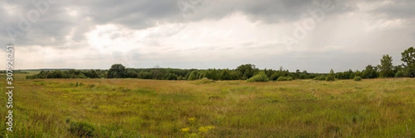 Fototapeta Natural scenery. A large wild meadow has a forest on the horizon. The weather is summer and cloudy. Ivanovo region, Russia.