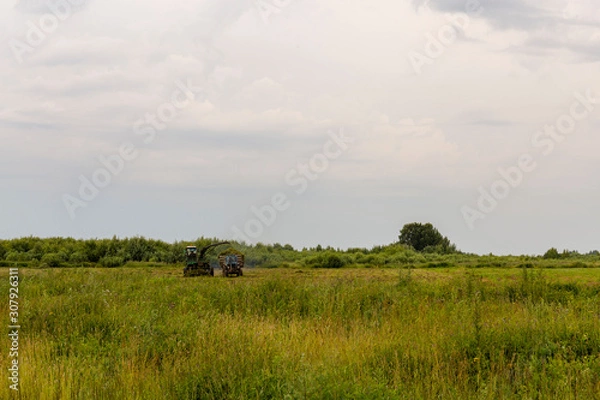 Fototapeta Natural scenery. A large wild meadow has a forest on the horizon. The weather is summer and cloudy. Ivanovo region, Russia.