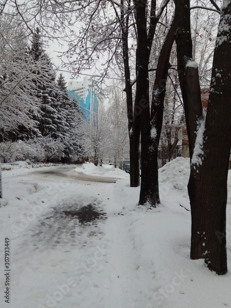 Fototapeta road in winter forest
