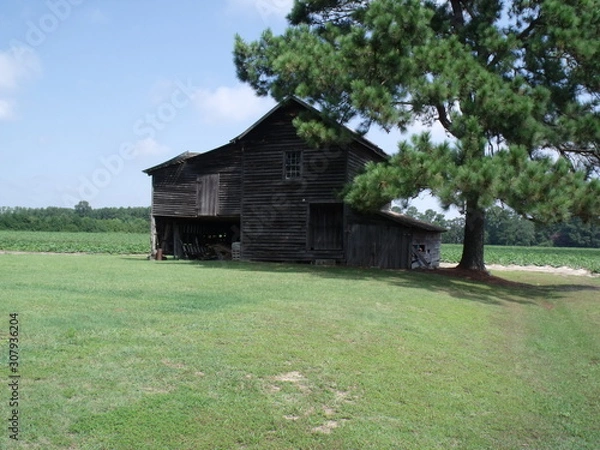 Fototapeta barn