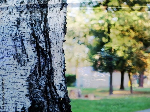 Fototapeta The mixed image of the textured surface of white and grey colors and the natural background of the view of the lake at the warm summer sunset at the City Park. 