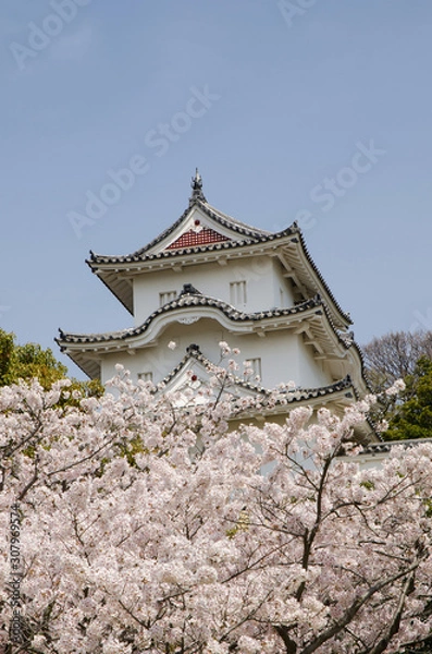 Obraz 兵庫県　明石城