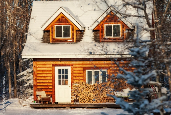 Obraz Cabin in the woods