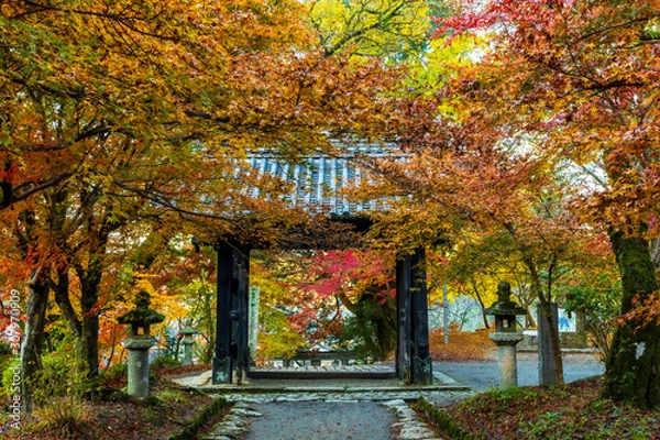 Obraz 晩秋の秋月城址黒門