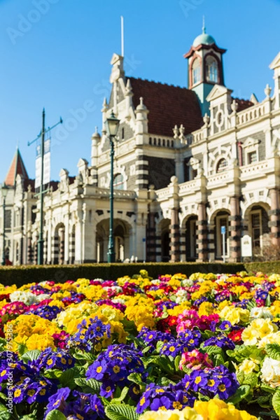 Fototapeta ニュージーランド　ダニーデンの鉄道駅と花壇